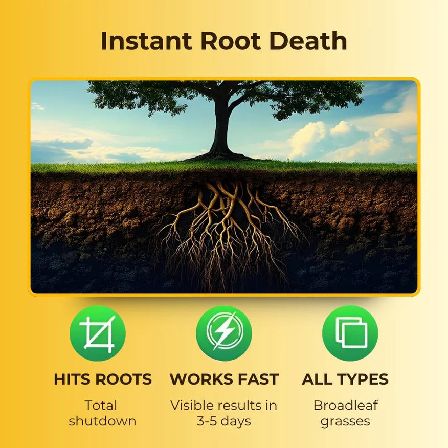 Cyclosinone Herbicide Granules (Buy 1 Get 1 Free)